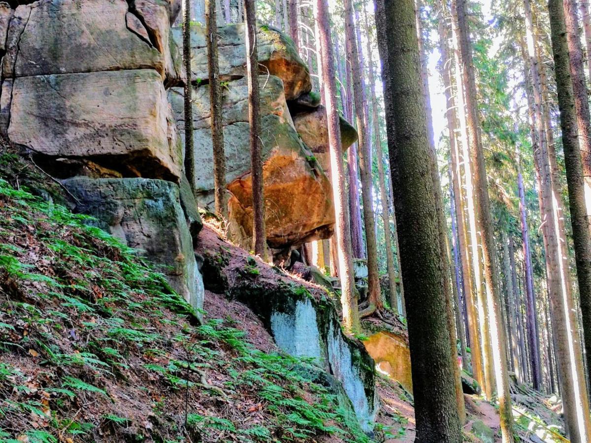 Вилла Zielona Roza Вамбежице Экстерьер фото